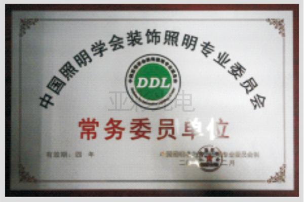 中国照明学会装饰照明专业委员会常务委员单位